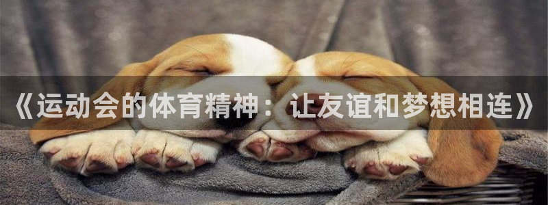 中欧体育集团：《运动会的体育精神：让友谊和梦想相连》