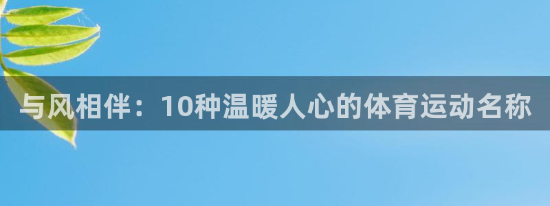 中欧体育平台：与风相伴：10种温暖人心的体育运动名称