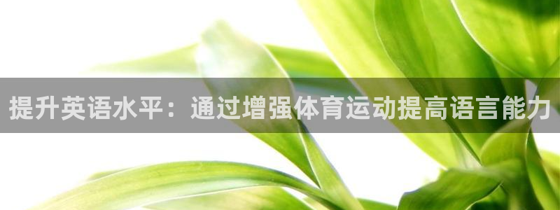中欧体育app：提升英语水平：通过增强体育运动提高语言能力