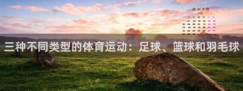 中欧体育集团：三种不同类型的体育运动：足球、篮球和羽毛球