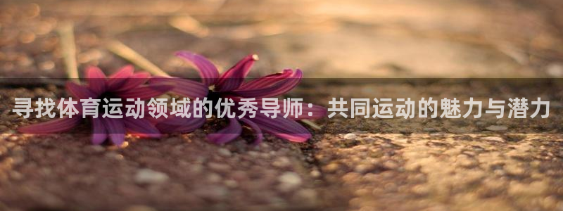 zoty中欧体育网址多少：寻找体育运动领域的优秀导师：共同运动的魅力与潜力