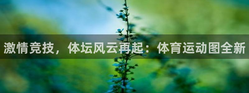 中欧体育网址：激情竞技，体坛风云再起：体育运动图全新