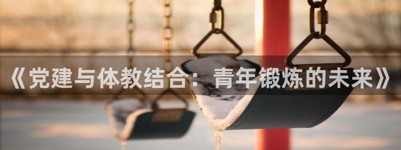 kok中欧体育：《党建与体教结合：青年锻炼的未来》